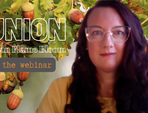 Twin Flame Bloom The Webinar