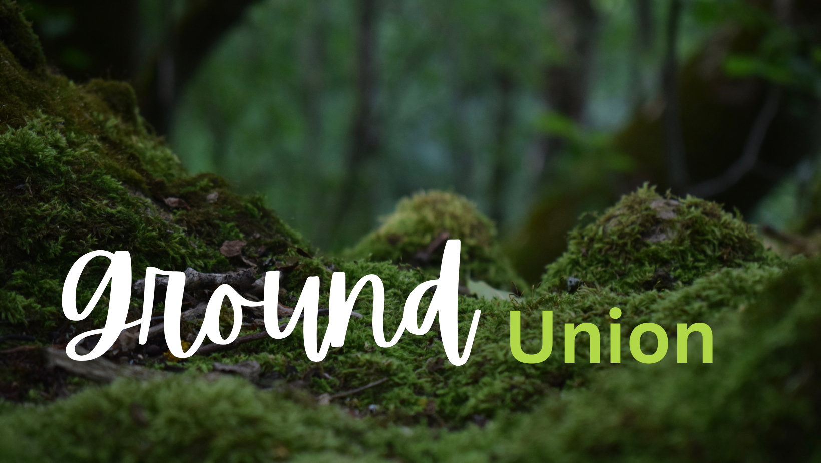 FMP: the Full Manifestation Point on your Twin Flame Journey